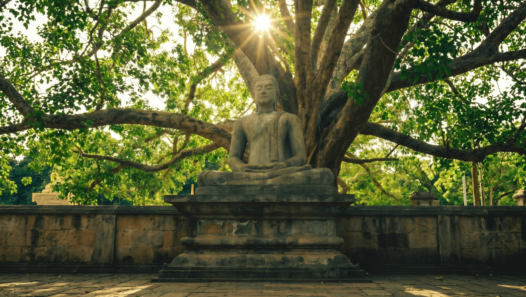 In The Buddha's Footsteps - 6 Days Sacred Journey