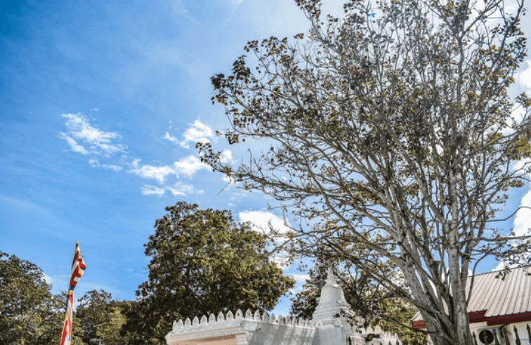 Kataragama — Divine Strength