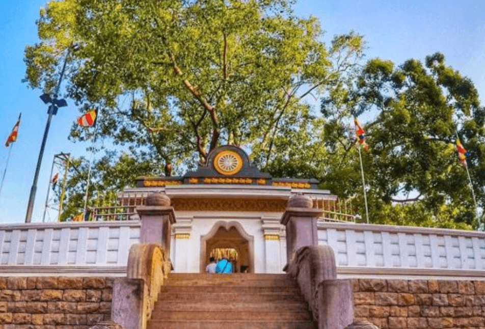 Jaya Sri Maha Bodhi Anuradhapura