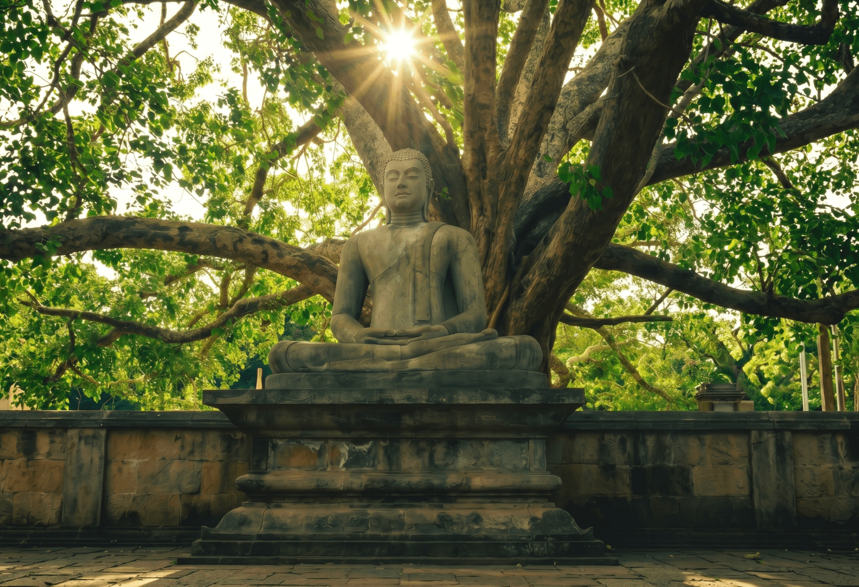 Buddha Trail
